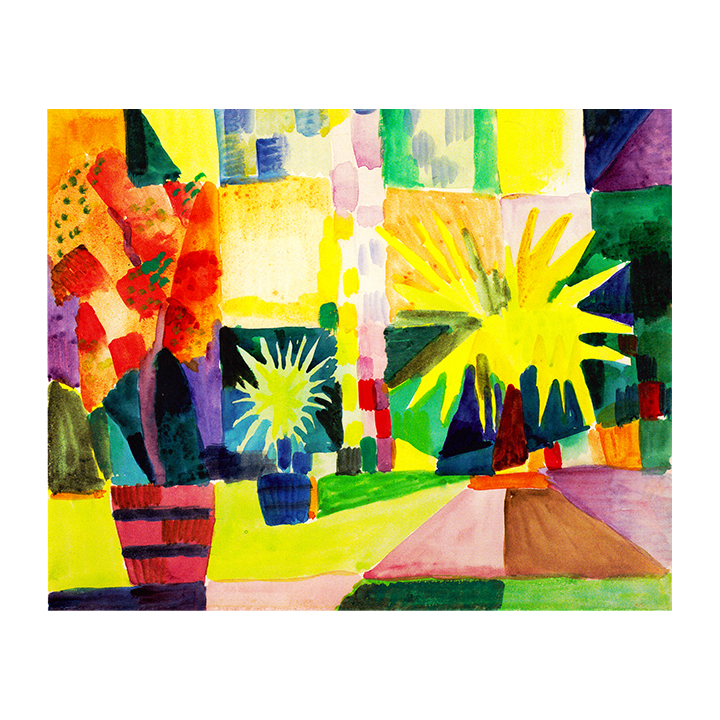 Colorful Plants in Tunisia