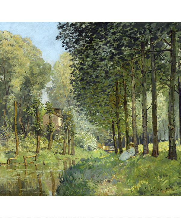 Resting by a Stream at the Edge of the Forest