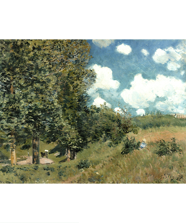 Summer Landscape
