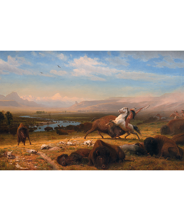 The Last of the Buffalo