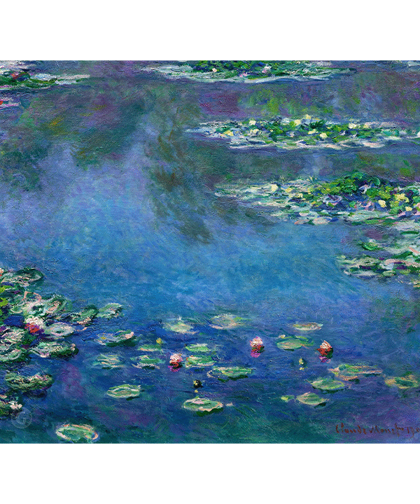 Water Lilies