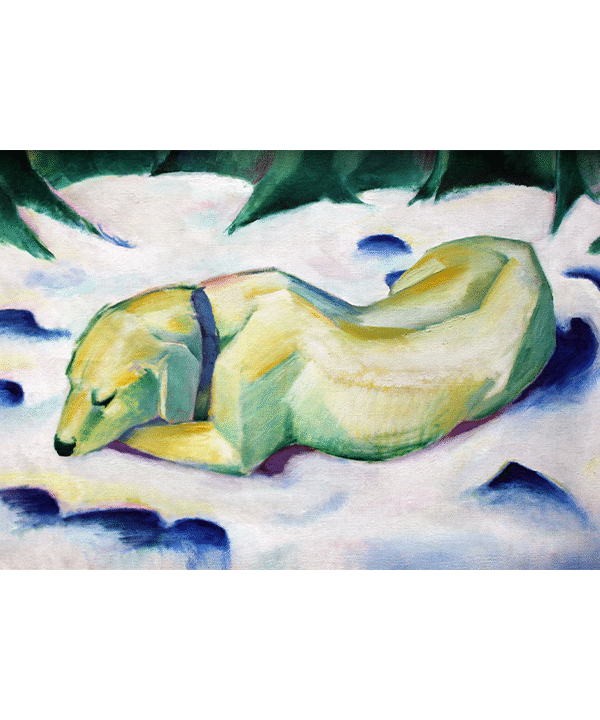 Dog Lying in the Snow